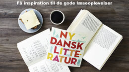 Emnelisten Ny dansk litteratur