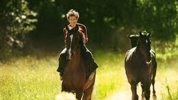 Billede fra filmen Ud og stjæle heste
