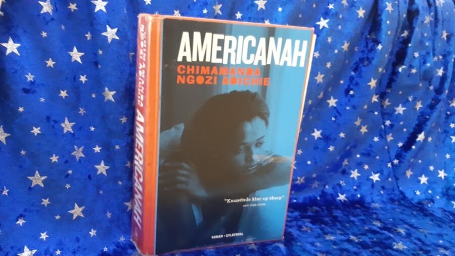 Romanen Americanah