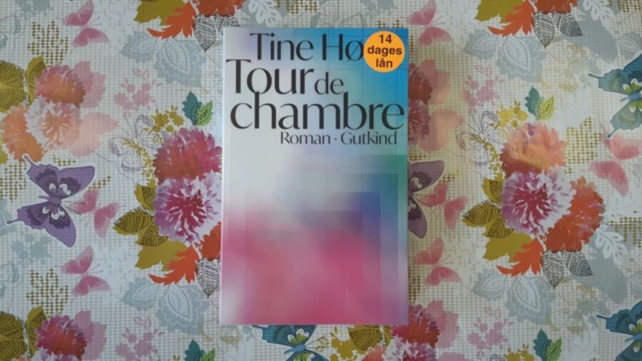 Romanen Tour de Chambre af Tine Høeg