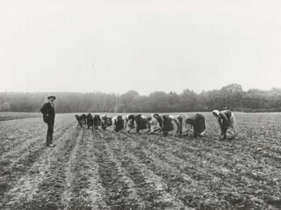 Roepigerne med deres Aufseher.