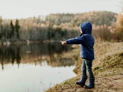 Find tegn på forår i naturen. Fotokreditering: Daiga Ellaby for Unsplash.