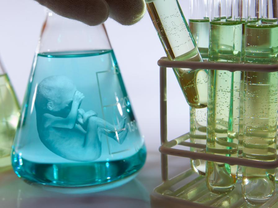 Forædlingen af mennesket