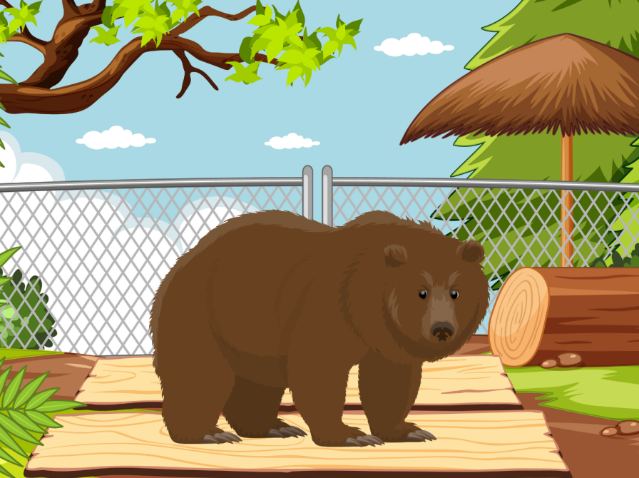 Illustration af en bjørn. Fotokreditering: Arther Mackenzie.