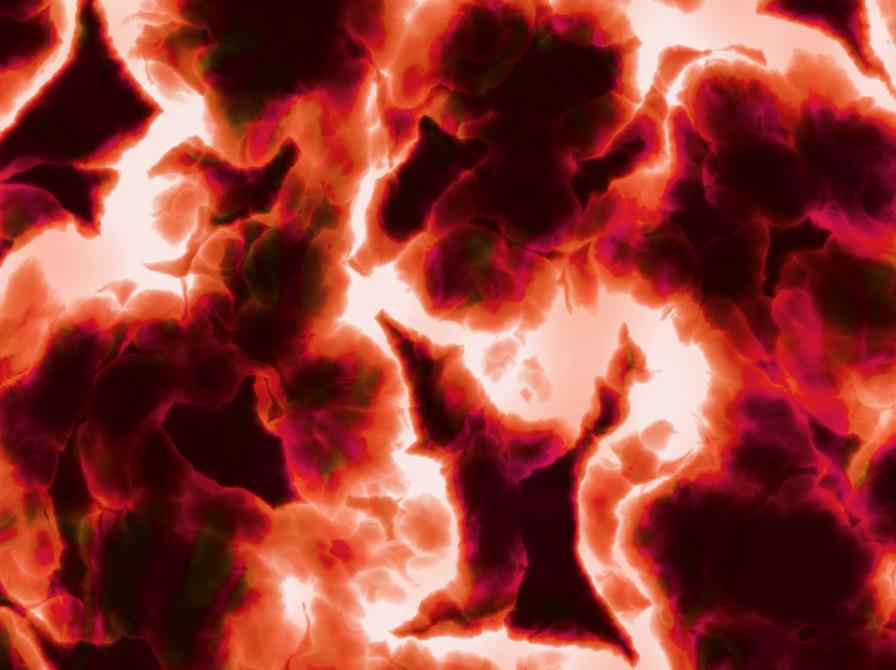 Styrk dit tarmmikrobiom