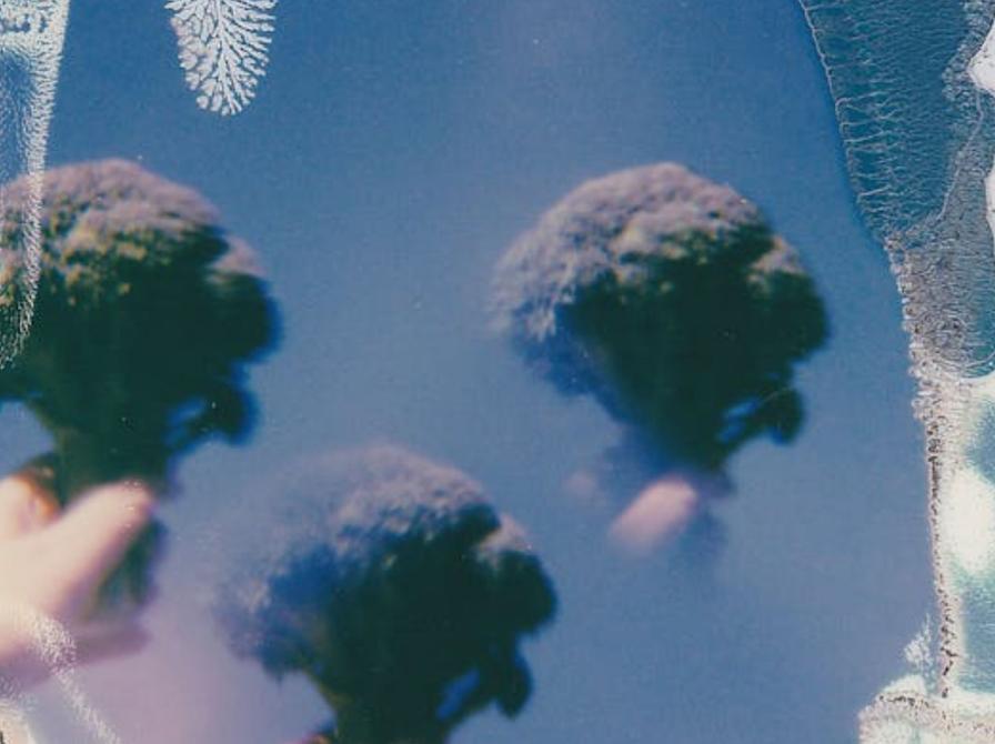 Film og fortælling mad og smag. Fotokreditering: Lisa from Pexels