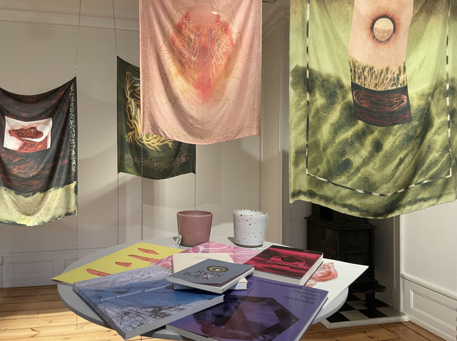 Udstilling på Rønnebæksholm. Fotokreditering: Næstved Bibliotek